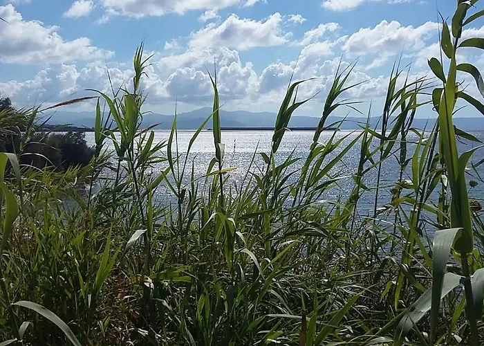 Sundeck * ドリオス